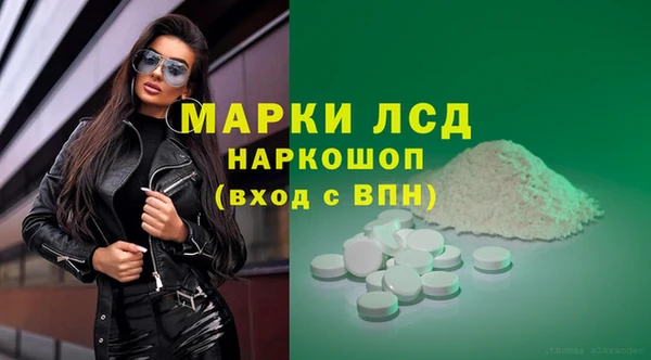 ALPHA-PVP Новозыбков