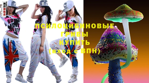гашиш Новодвинск