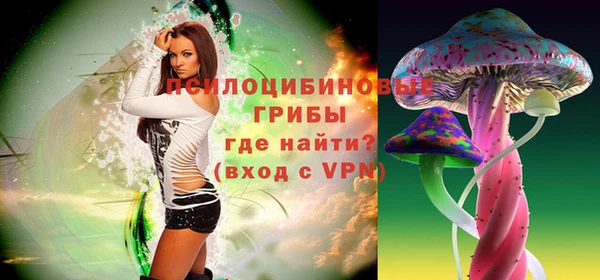ALPHA-PVP Новозыбков
