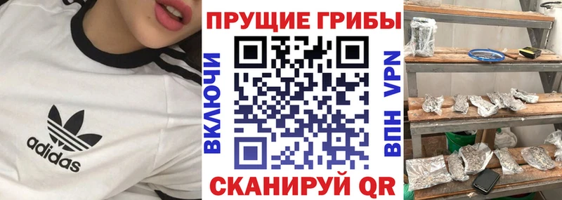 Галлюциногенные грибы ЛСД Уржум